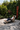 CURVA CHAISE LOUNGE CHAIR